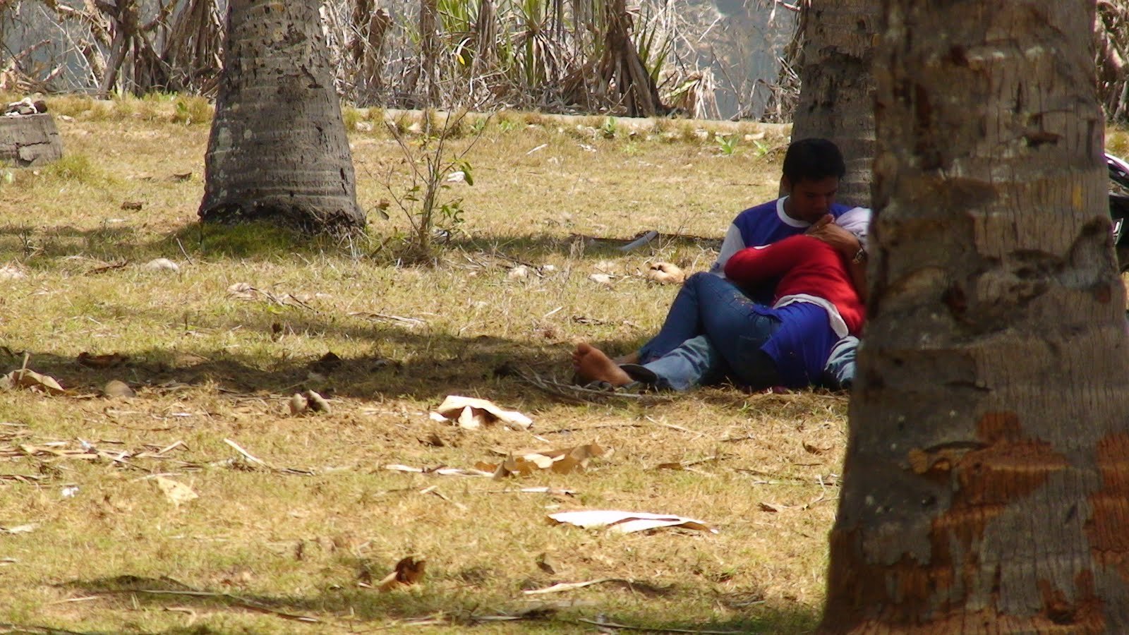 Hijab Viral Terbaru Indo Aku Mainin Putingnya Dari Belakang Kebun Sawit Top Global Wikwik 2026